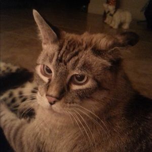 Meet your Posher, Aundra